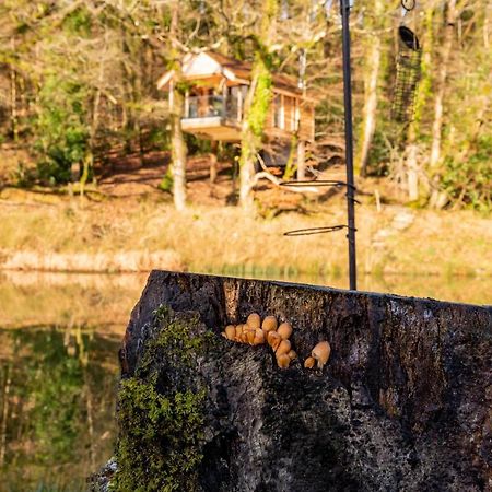 Finest Retreats - The Tree House - Eco-Friendly, Back To Nature Experience Germansweek Экстерьер фото