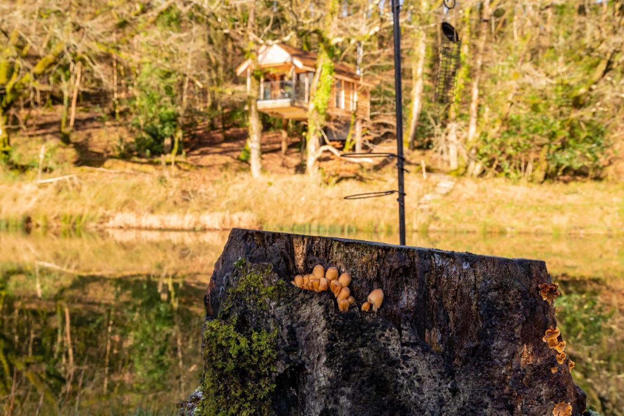 Finest Retreats - The Tree House - Eco-Friendly, Back To Nature Experience Germansweek Экстерьер фото